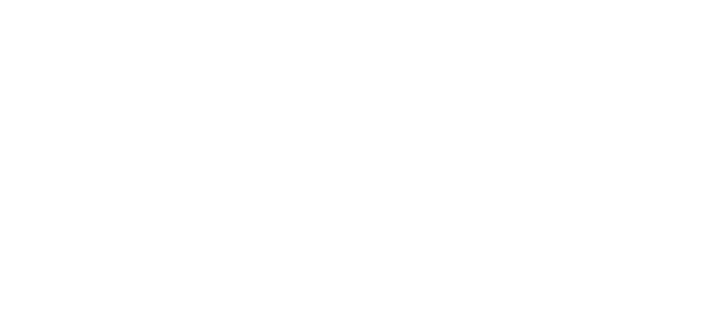 Perimeter Connects